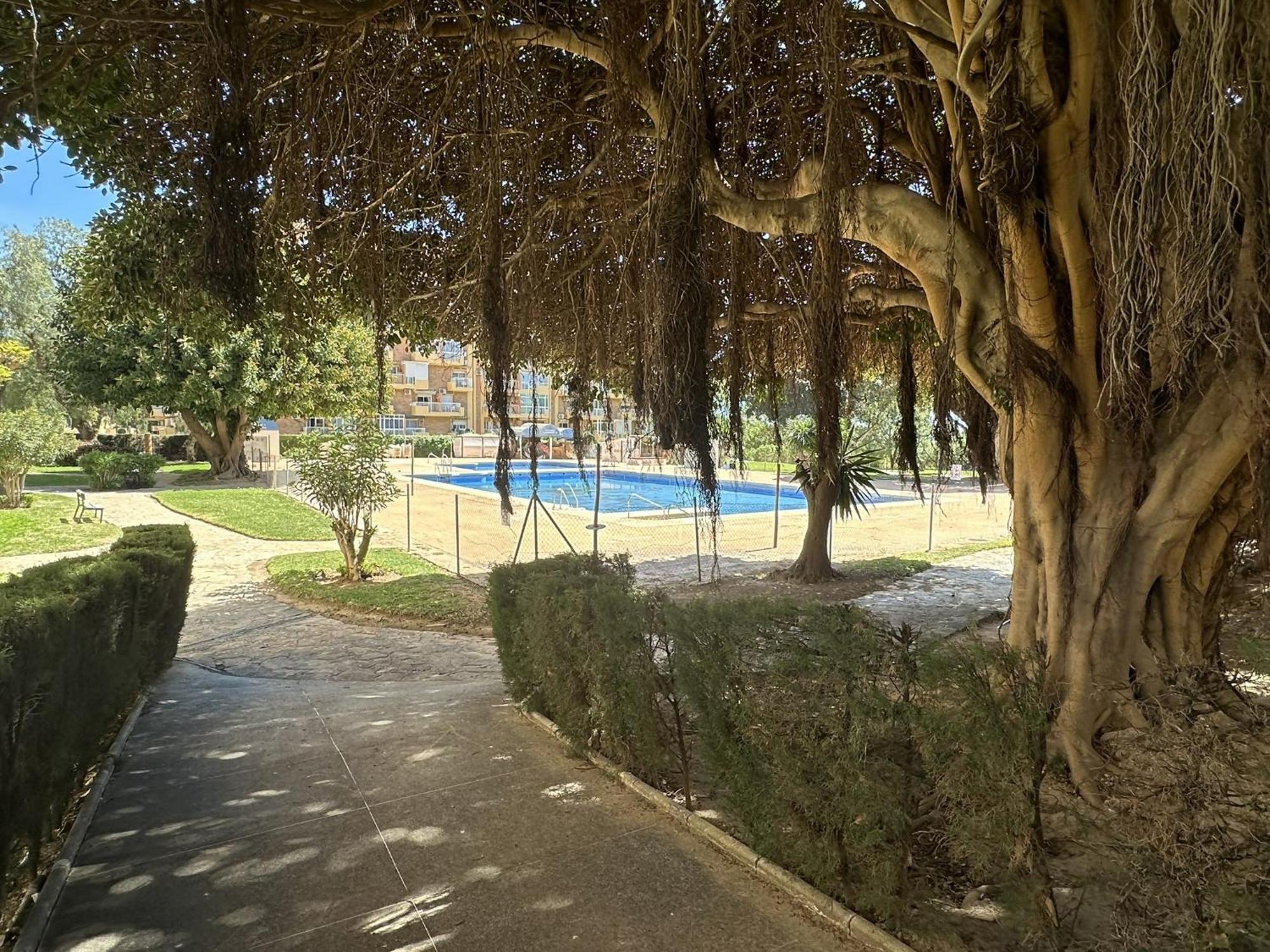 Appartement Estudio Agata Con Piscina A 800M De La Playa *