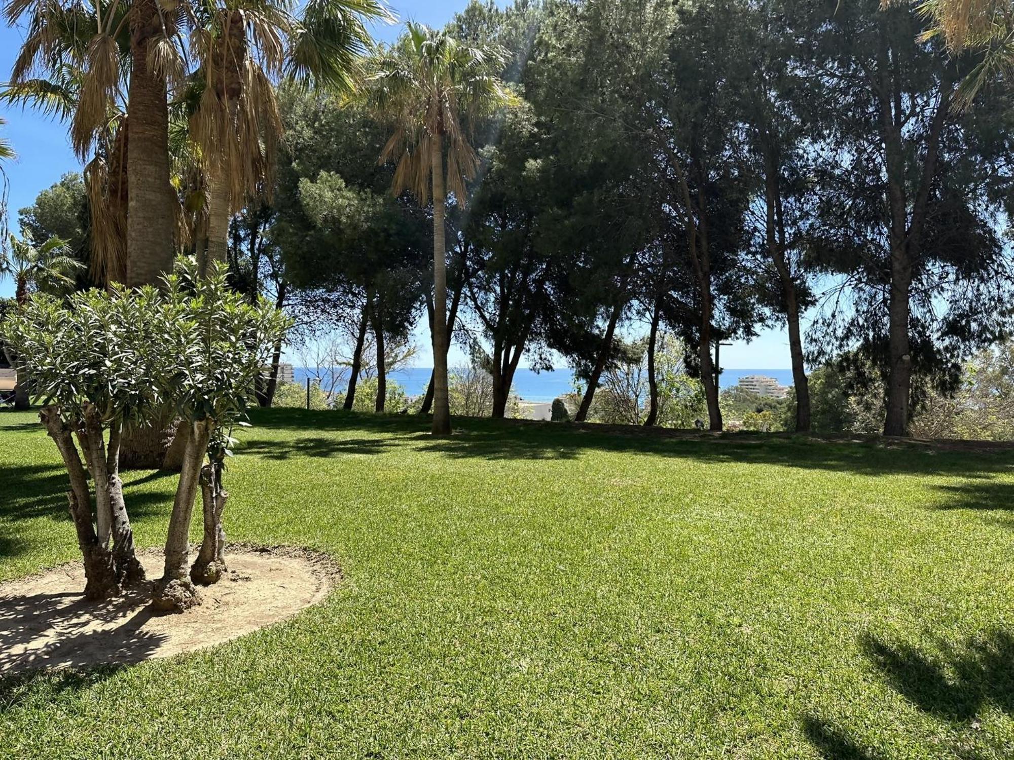 Estudio Agata Con Piscina A 800M De La Playa Appartement *